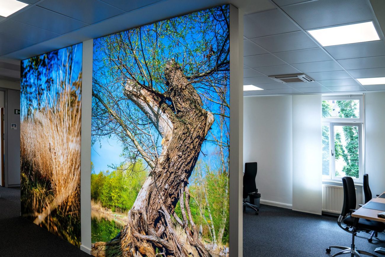 Leuchtbilder Trennwand